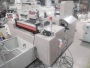 Roll-to-Roll Punch Press with Vision Inspection